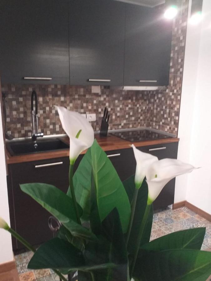 Loft 113 Appartamento Corralejo Esterno foto